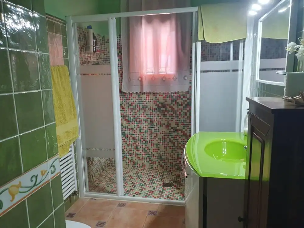Bany de Casa o xalet en venda en Agudo, Ciudad Real