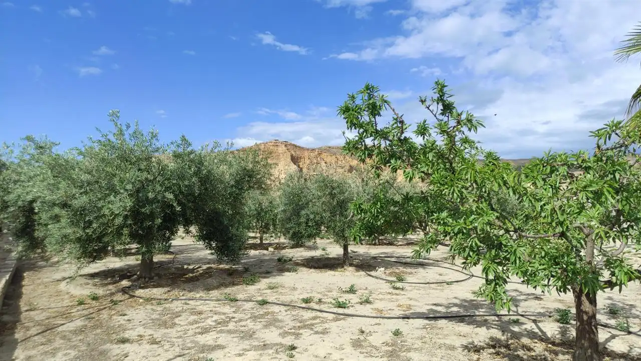 Residencial en venta en Cuevas del Almanzora