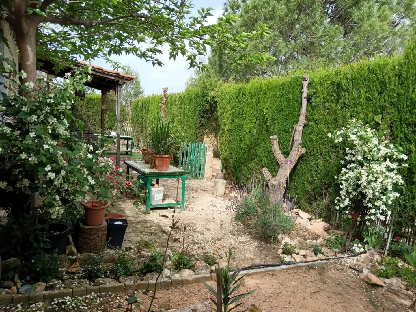 Villa con giardino in vendita a El Pinós / Pinoso, imagen 26