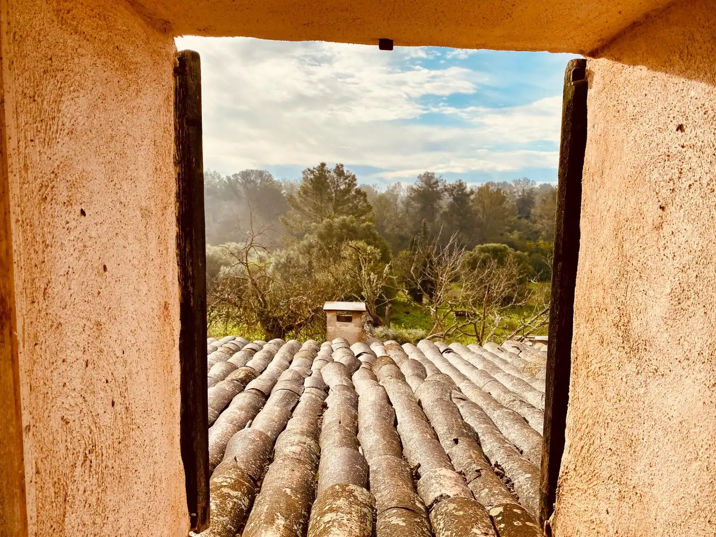 Vista exterior de Finca rústica en venda en Santa Margalida amb Terrassa, Traster i Piscina