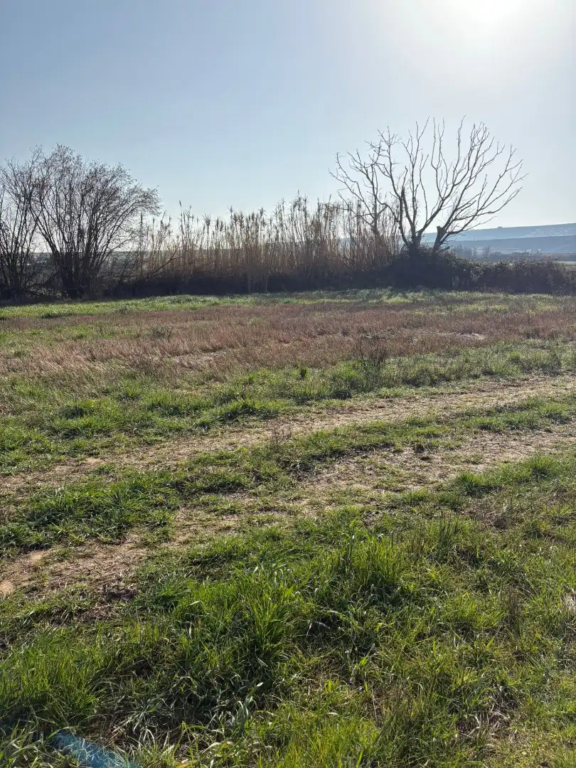 Terrenys i solars en venda a Alberite, imagen 5