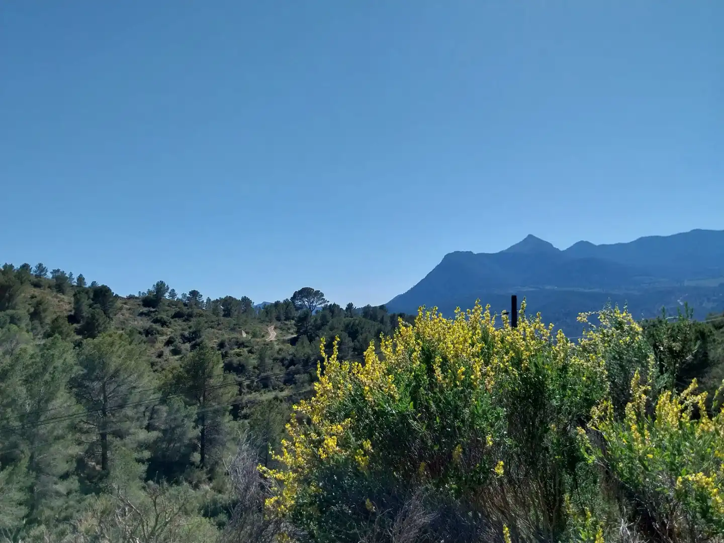 Terreno rustico in vendita a Lugar Castillo, imagen 21