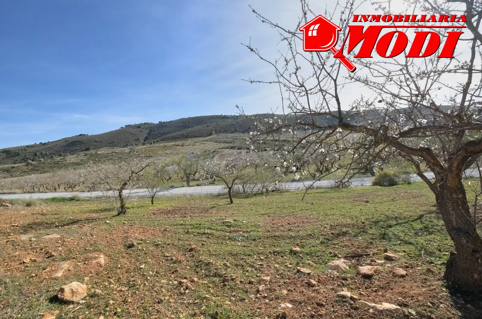 Terreni e lotti in vendita a El Valle, imagen 11