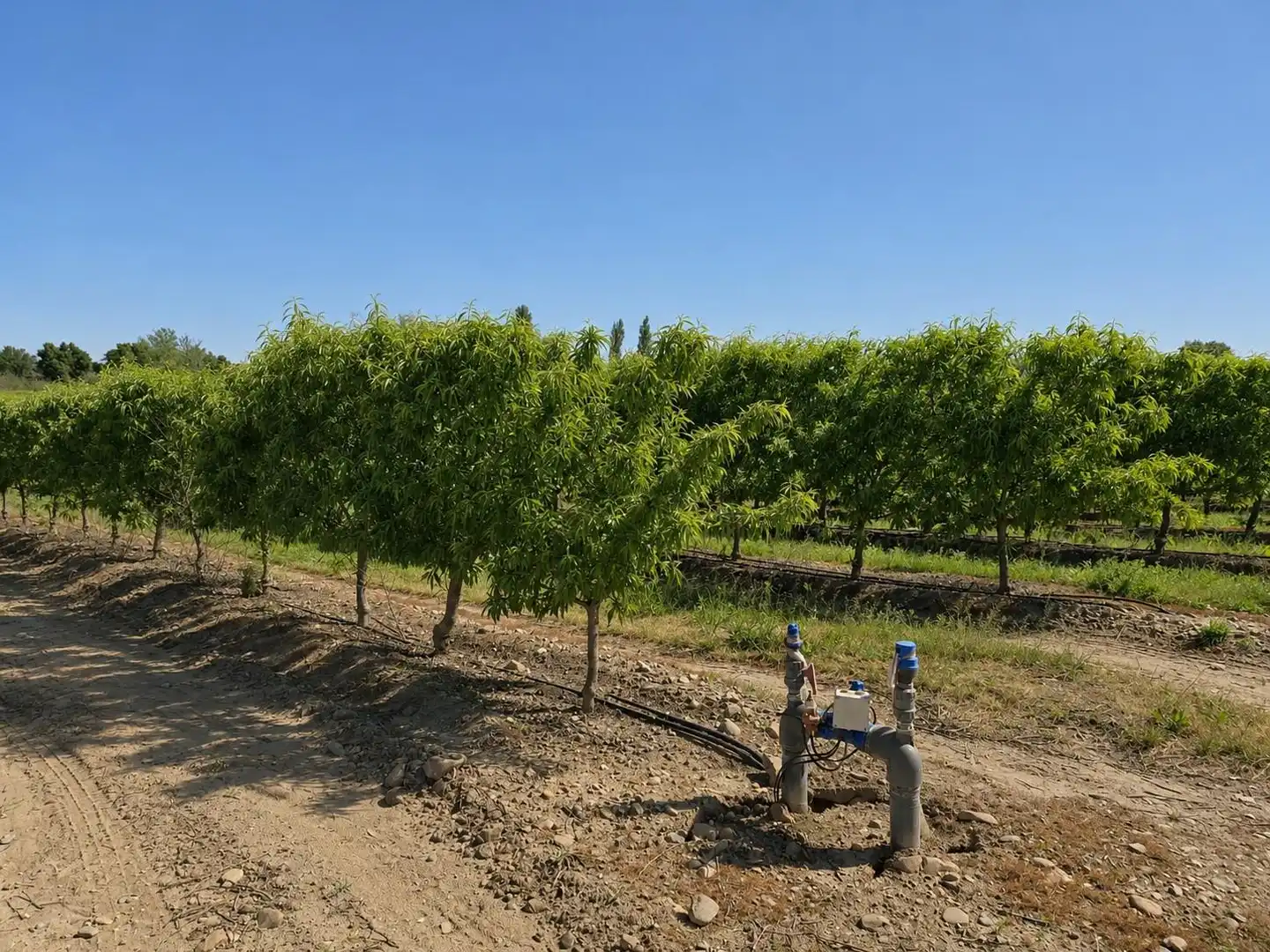 Exterior view of Land for sale in Torrejoncillo