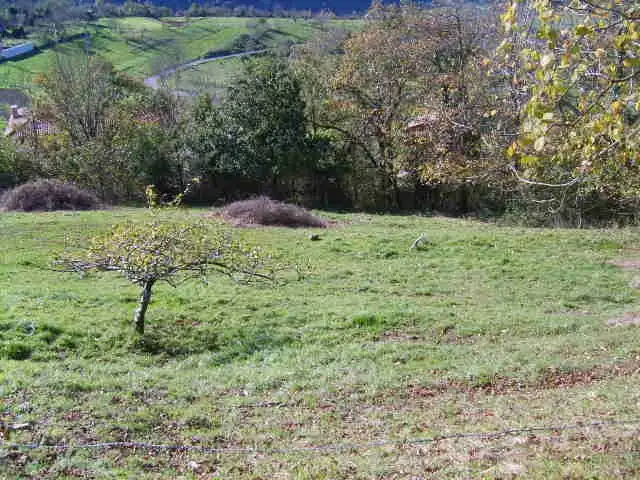Grundstücke und Bauplätze zum Verkauf in Cangas de Onís