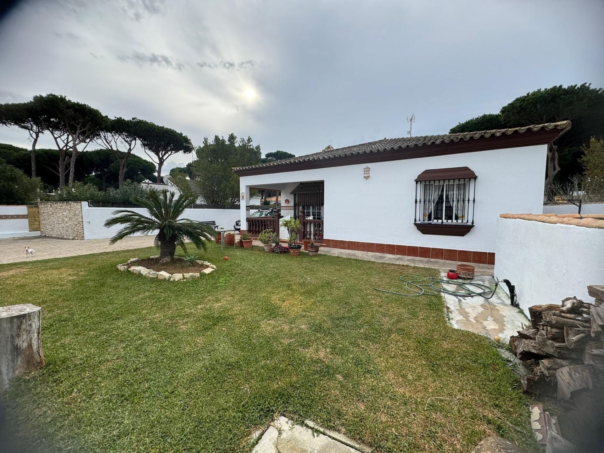 Jardí de Casa o xalet en venda en Chiclana de la Frontera amb Aire condicionat, Calefacció i Jardí privat