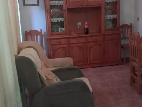 Sala de estar de Casa o chalet en venta en Puertollano con Terraza