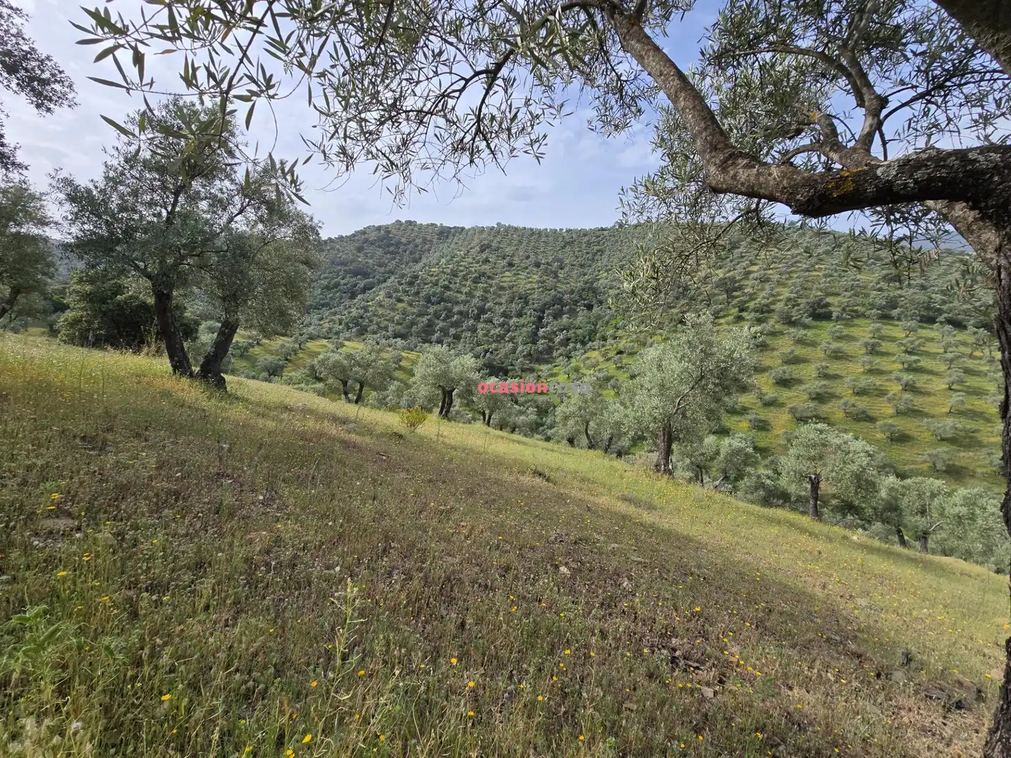 Finca rústica en venta en Pozoblanco