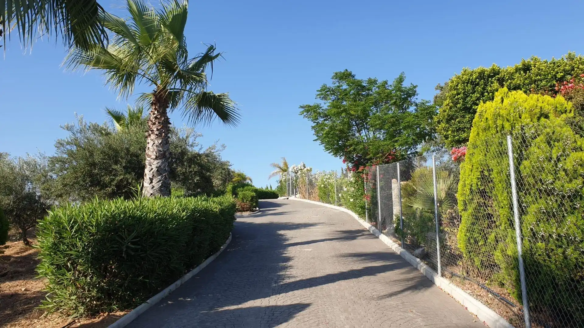 Vista exterior de Casa o chalet en venta en Coín con Aire acondicionado, Calefacción y Jardín privado