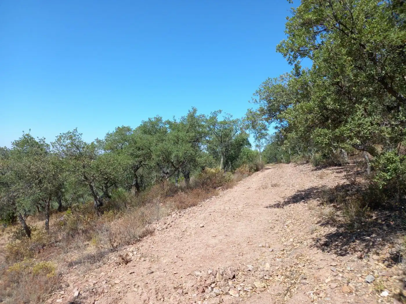 Finca rústica en venda en Cáceres