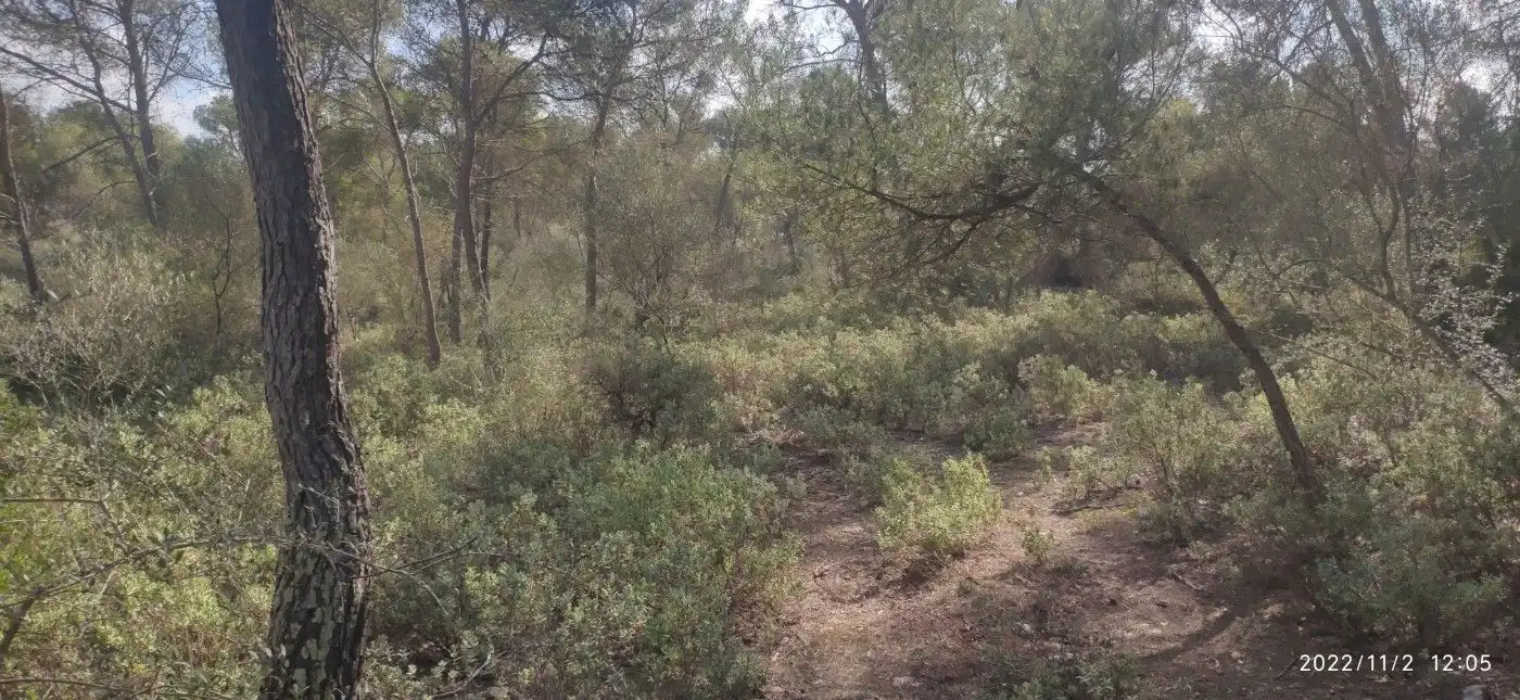 Terrain résidentiel à vendre à Algaida, imagen 10