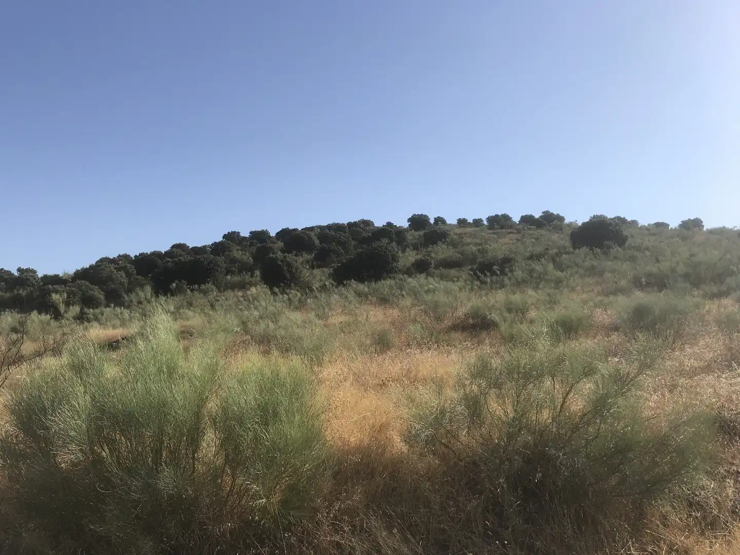 Terreni e lotti in vendita a Malpartida de Plasencia, imagen 2