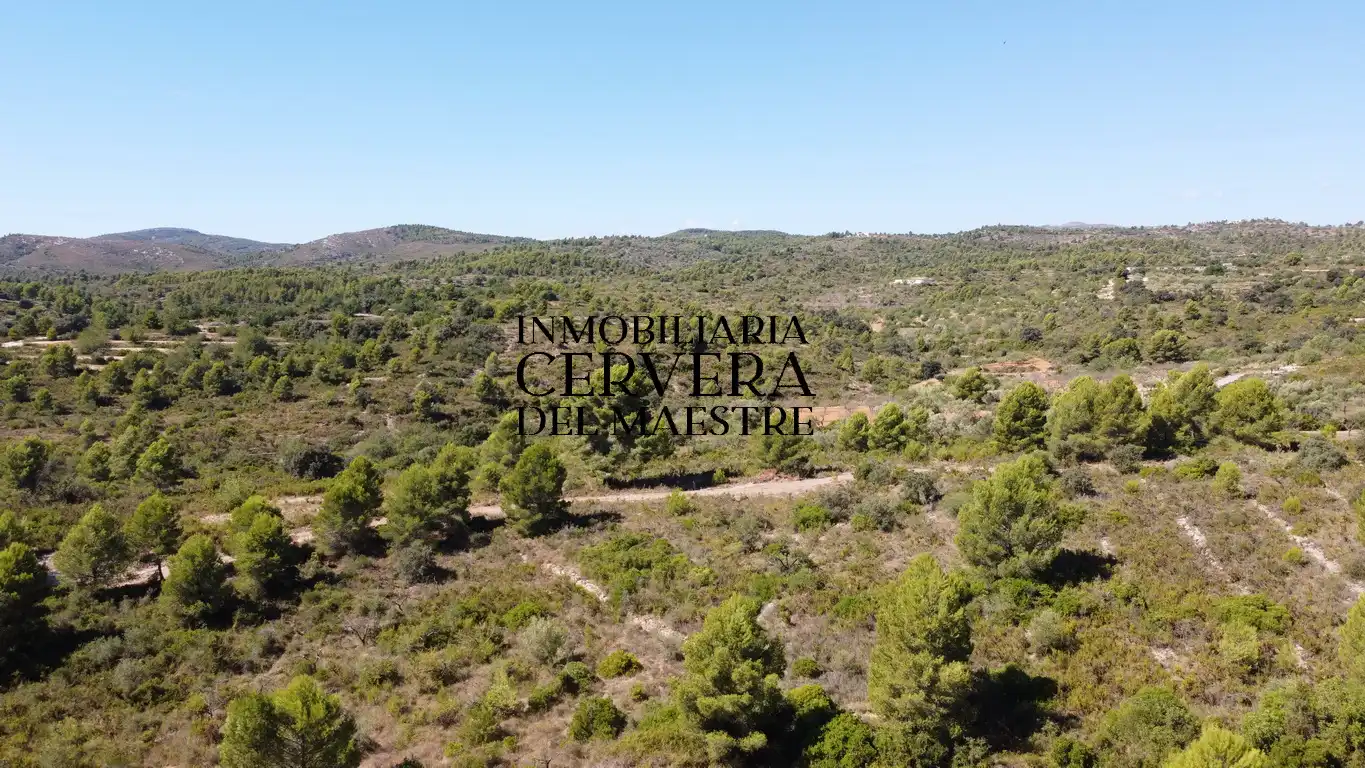 Terreno rustico in vendita a Cervera del Maestre, imagen 13