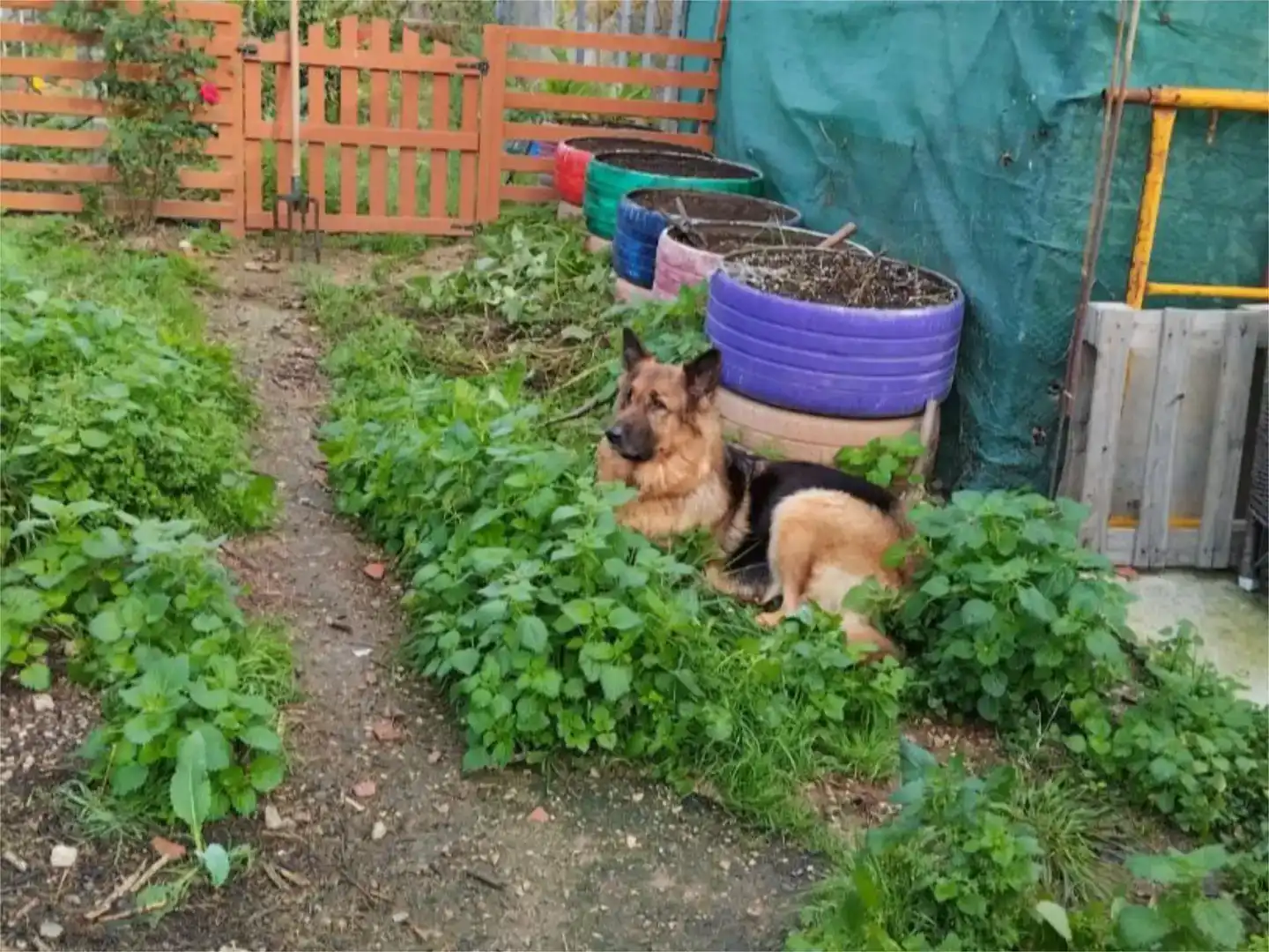 Garden of Flat for sale in Potries  with Air Conditioner, Private garden and Storage room