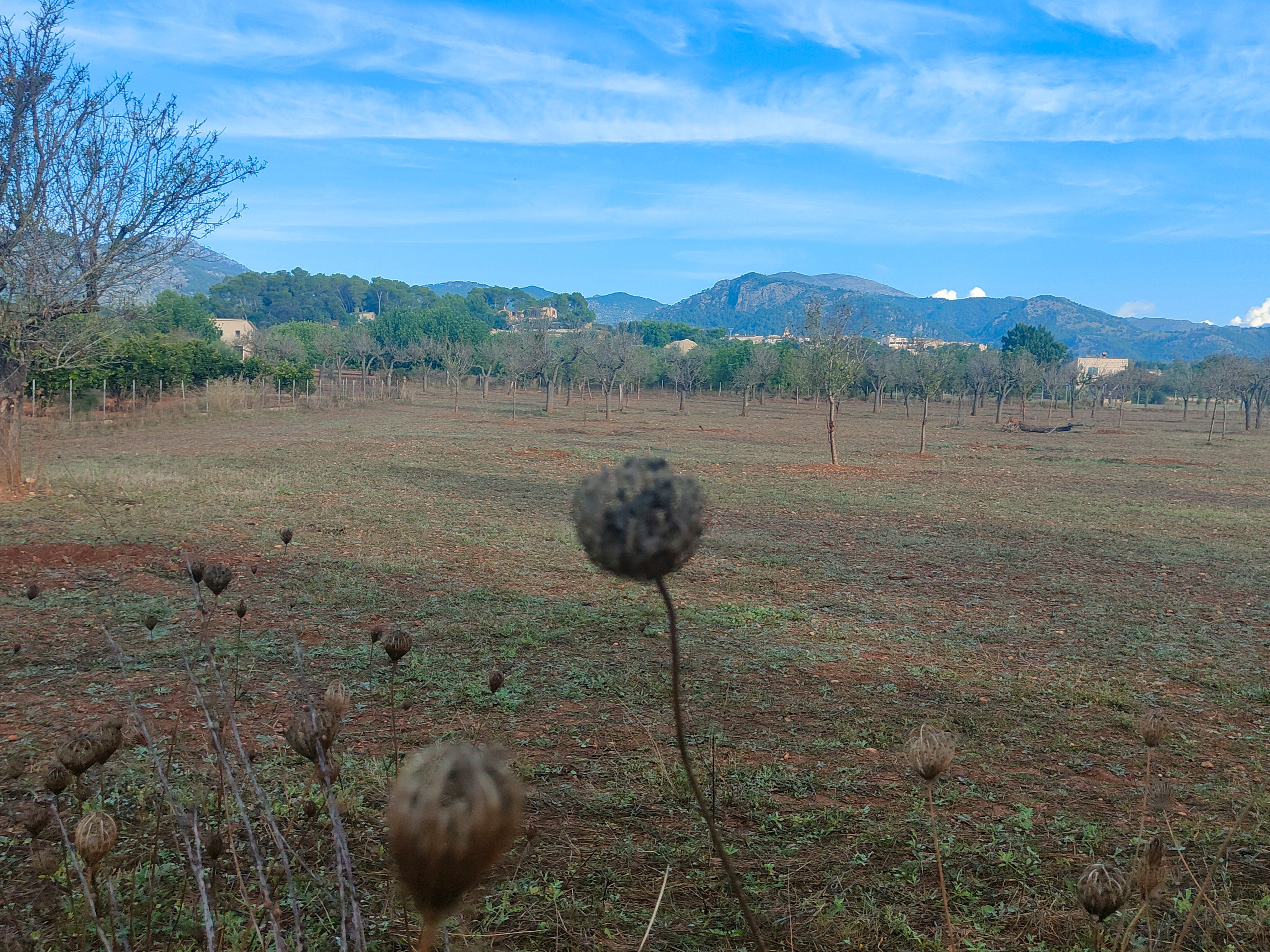 Grundstücke zum Verkauf in Selva