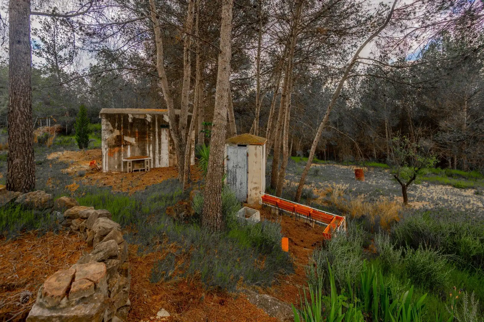 Garden of Country homes for sale in Jérica