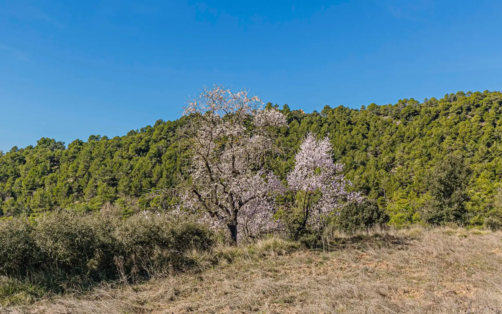 Finca rústica en venta en Navès con Calefacción, Jardín privado y Terraza