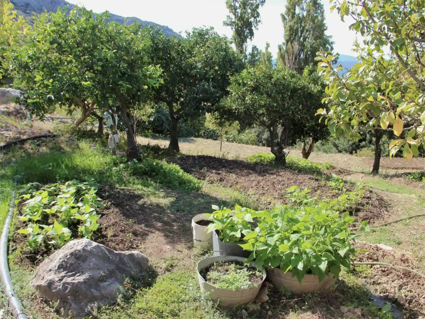 Piso en venta en Benaocaz con Jardín privado, Trastero y Piscina