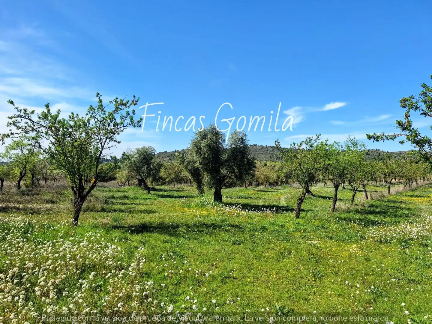 Rural land for sale in 8, imagen 30