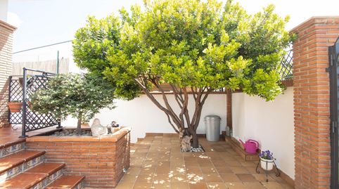 Foto 5 von Haus oder Chalet zum Verkauf in Calle Fuente Encaña, Nívar, Granada
