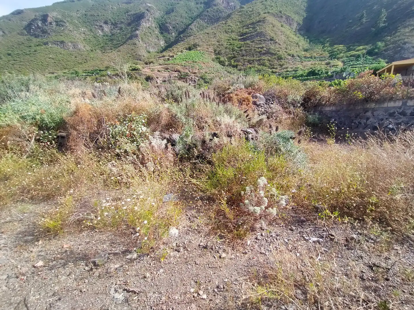 Terreno en venta en Güímar
