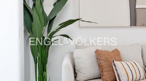 Apartamentos turísticos en primera línea en las Higuericas Playa, imatge 5