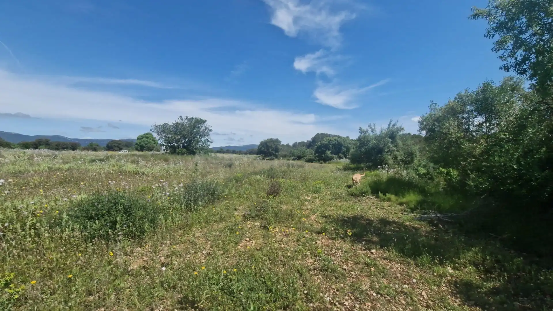 Terreno rustico in vendita a Valls, imagen 23