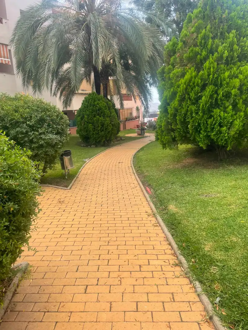Exterior view of Flat for rent in Rincón de la Victoria  with Private garden, Furnished and Community pool