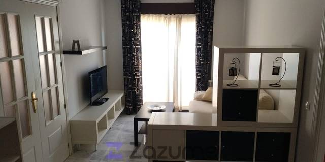 Piso en Alquiler en C. Fray Diego de Ocaña en Urbanización San Isidro