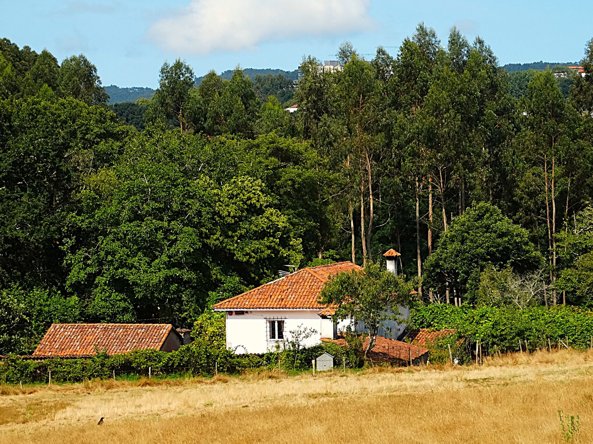 Vista exterior de Finca rústica en venda en Narón amb Calefacció, Jardí privat i Parquet
