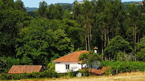 Excelente casa molino en buen estado y con 10.443 m2 de terreno, en plena naturaleza pero cerca de todos los servicios.