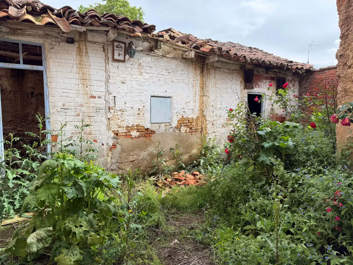 Vista exterior de Finca rústica en venta en Cimanes del Tejar