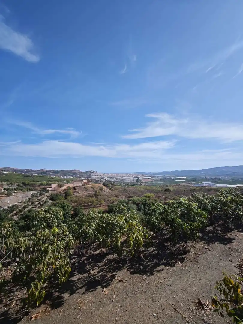 Country homes for sale in N/A, Norte - Barrio del Pilar - El Reñidero