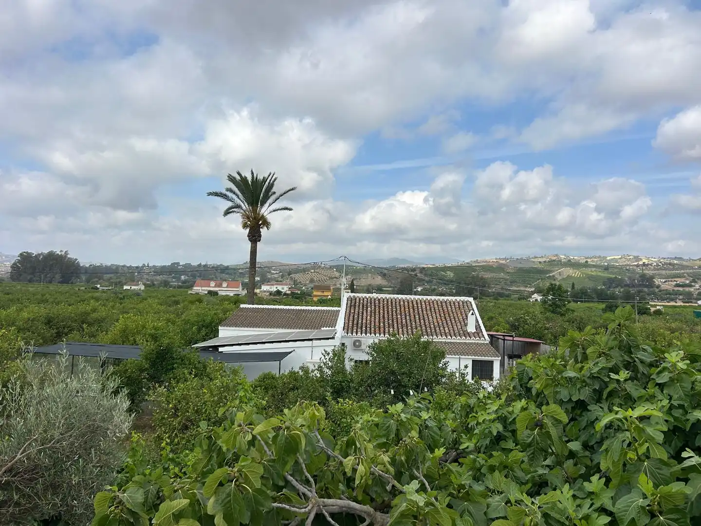 Country homes for sale in Álora