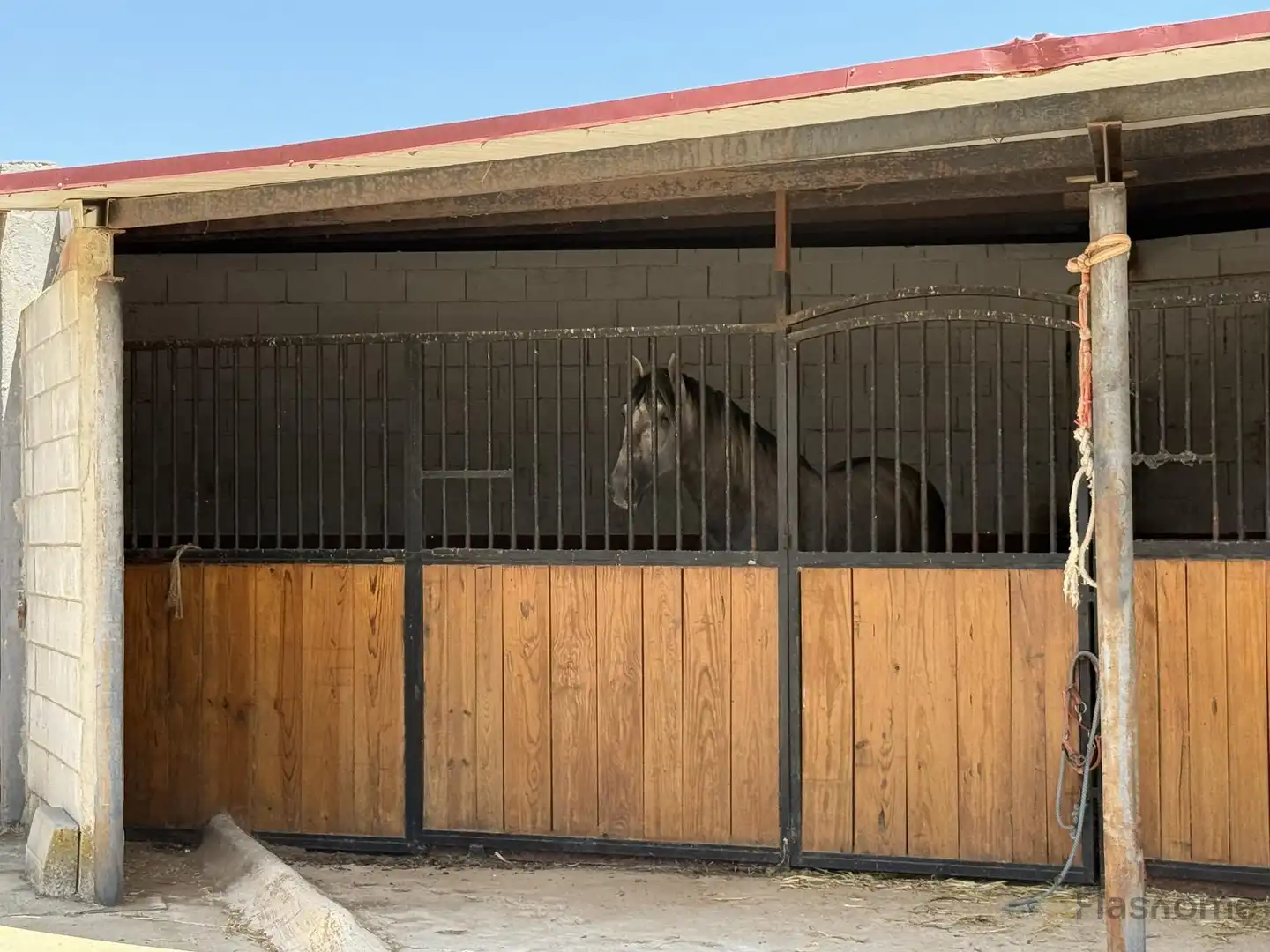 Vista exterior de Finca rústica en venta en San Pedro de Mérida con Amueblado