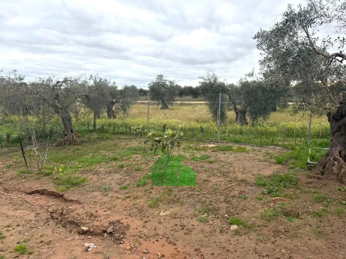 Chalet en venta en Montijo, imagen 11