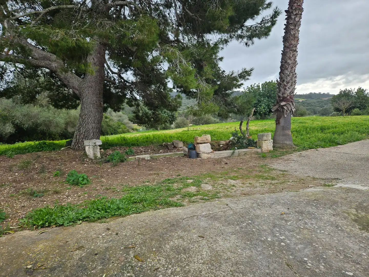 Rural land for sale in Carrer d'es Badaluc, imagen 5