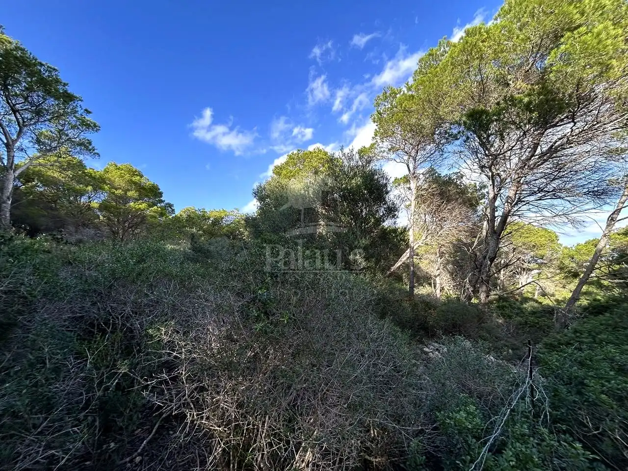 Rural land for sale in Cala Morell, imagen 6
