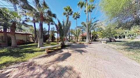 Foto 4 de Casa o xalet en venda a Peña de las Águilas, Elche / Elx