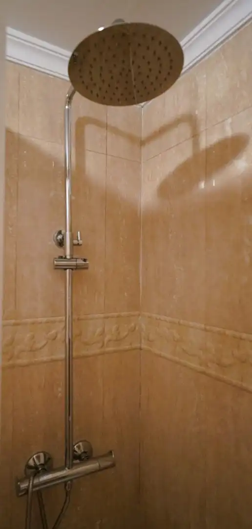 Flat with lift to rent in Calle Calle Secretario Artiles, imagen 8