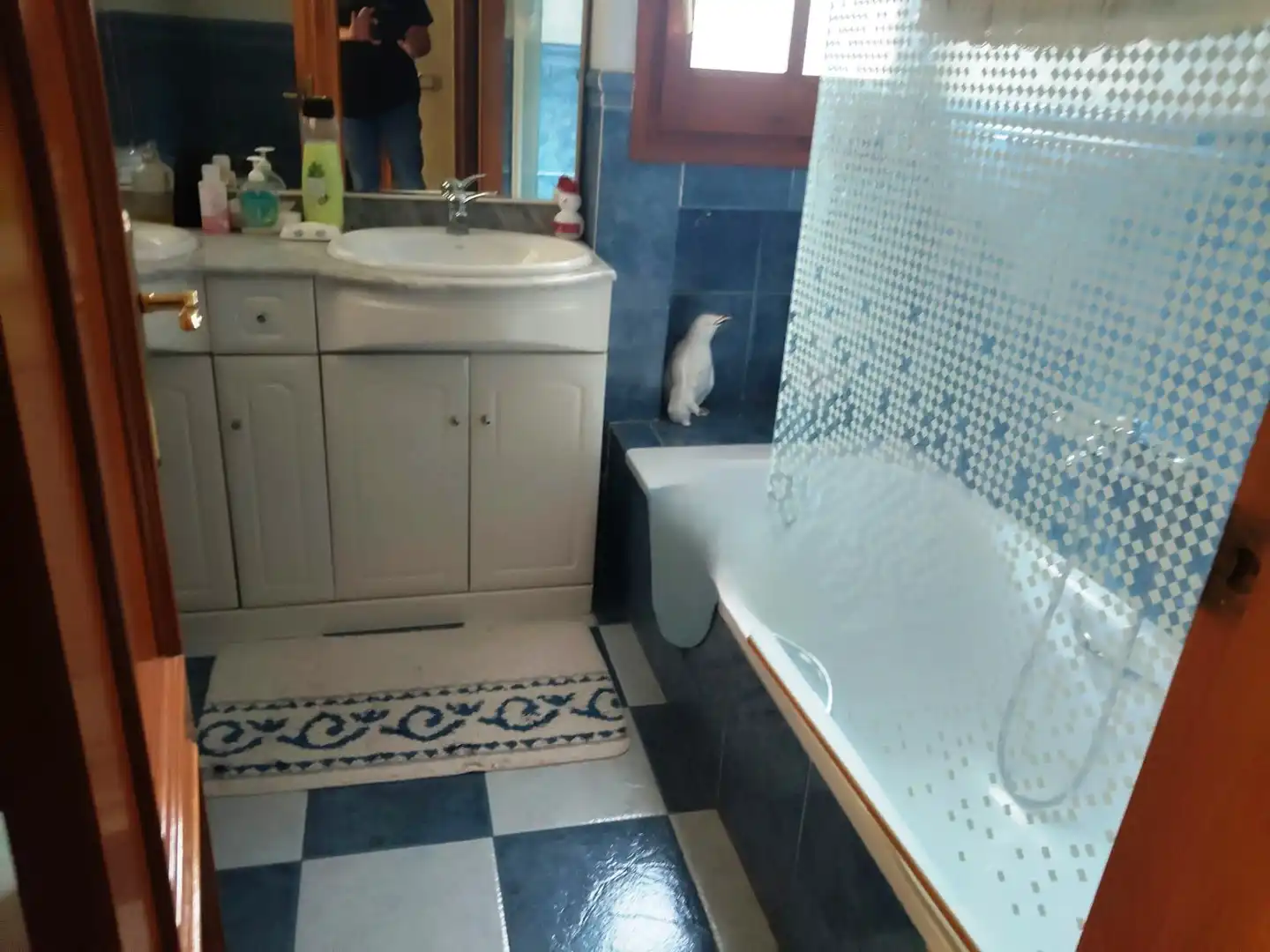 Casa bifamiliare con giardino in vendita a Carrer de la Falúa, imagen 11