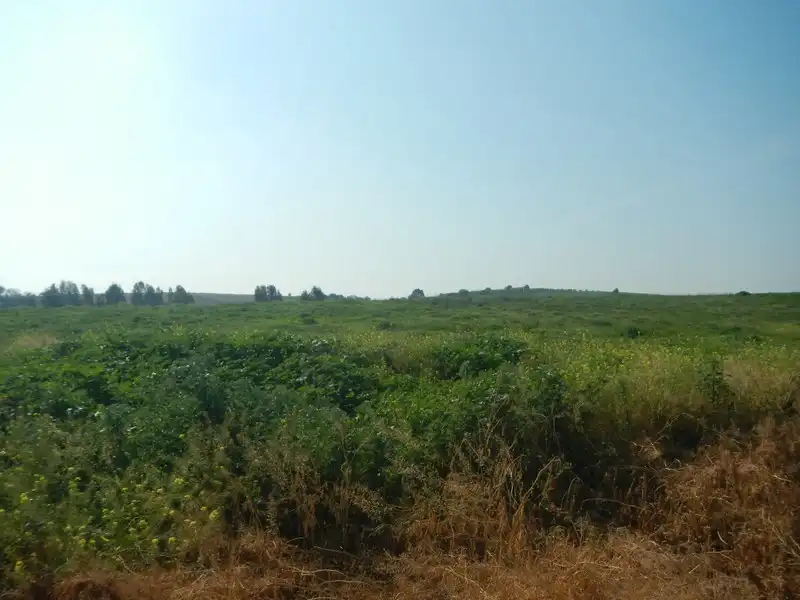 Terreno rustico in vendita a Camino de la Botija, imagen 6