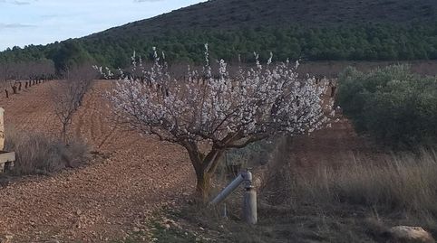 Foto 3 de Finca rústica en venda a Yecla, Murcia