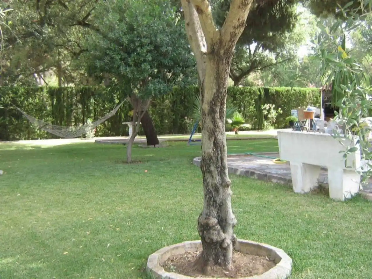 Garden of Houses for sale in Jerez de la Frontera  with Air Conditioner and Furnished