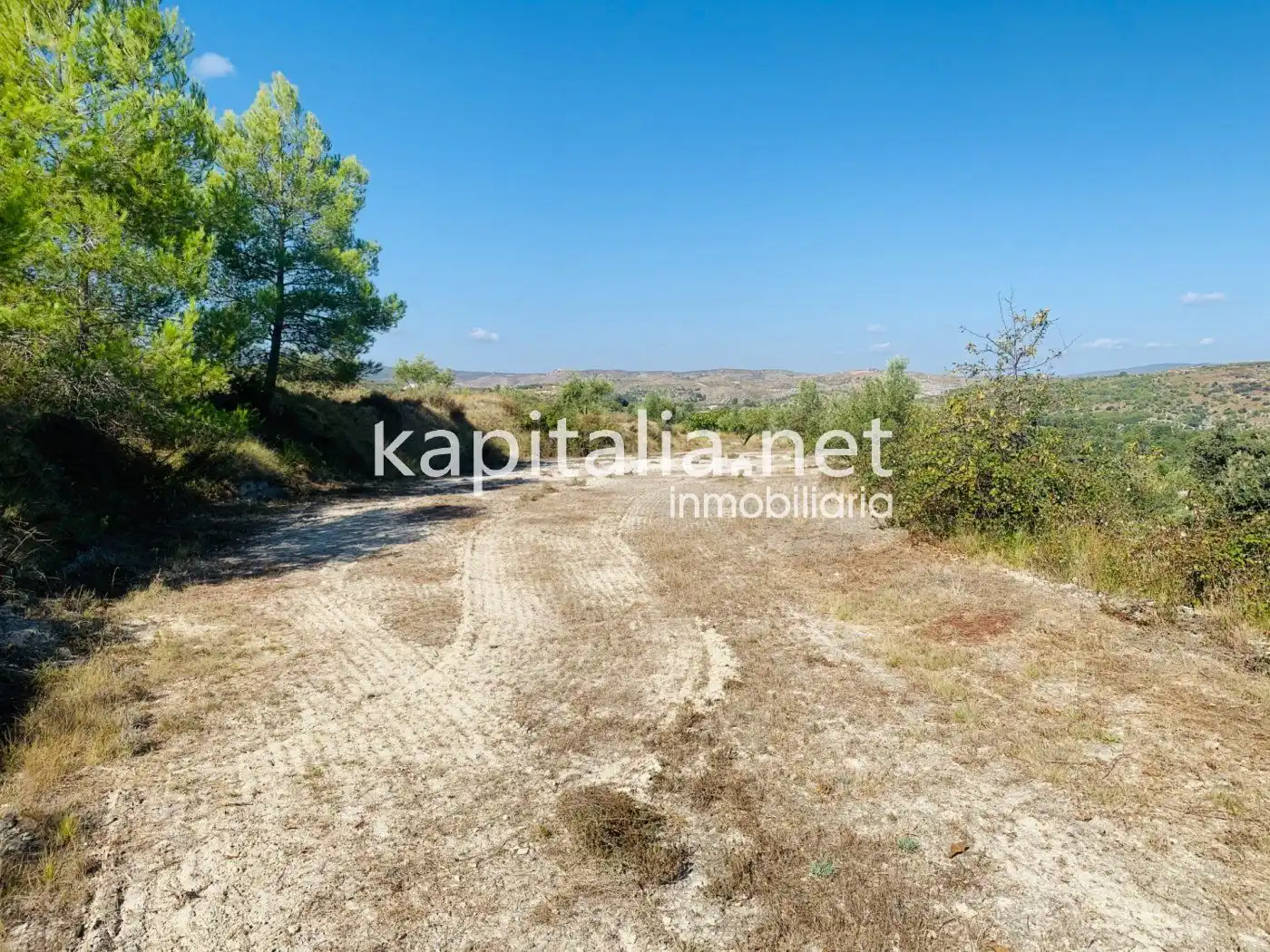 Terreno residencial en venta en Alfafara, imagen 5