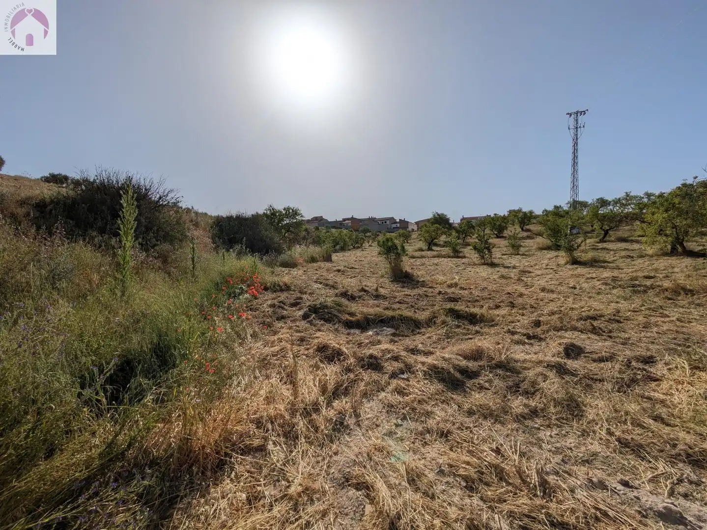 Residential land for sale in EXTRARRADIO, imagen 12