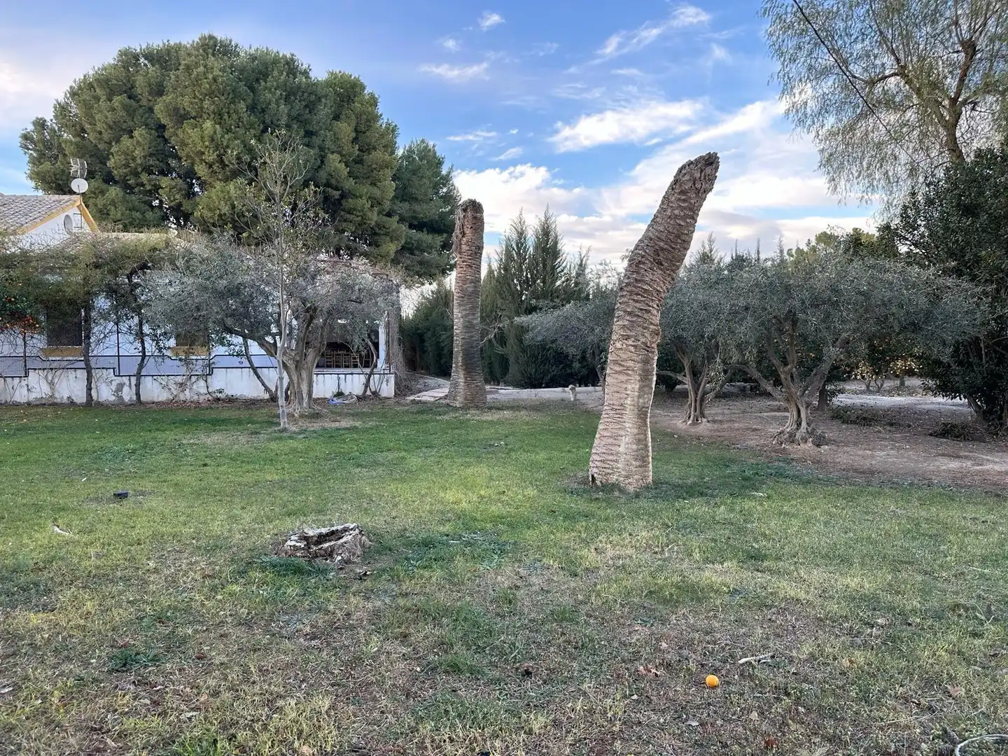 Xalet amb jardí en venda a Pedanías Centro, imagen 42