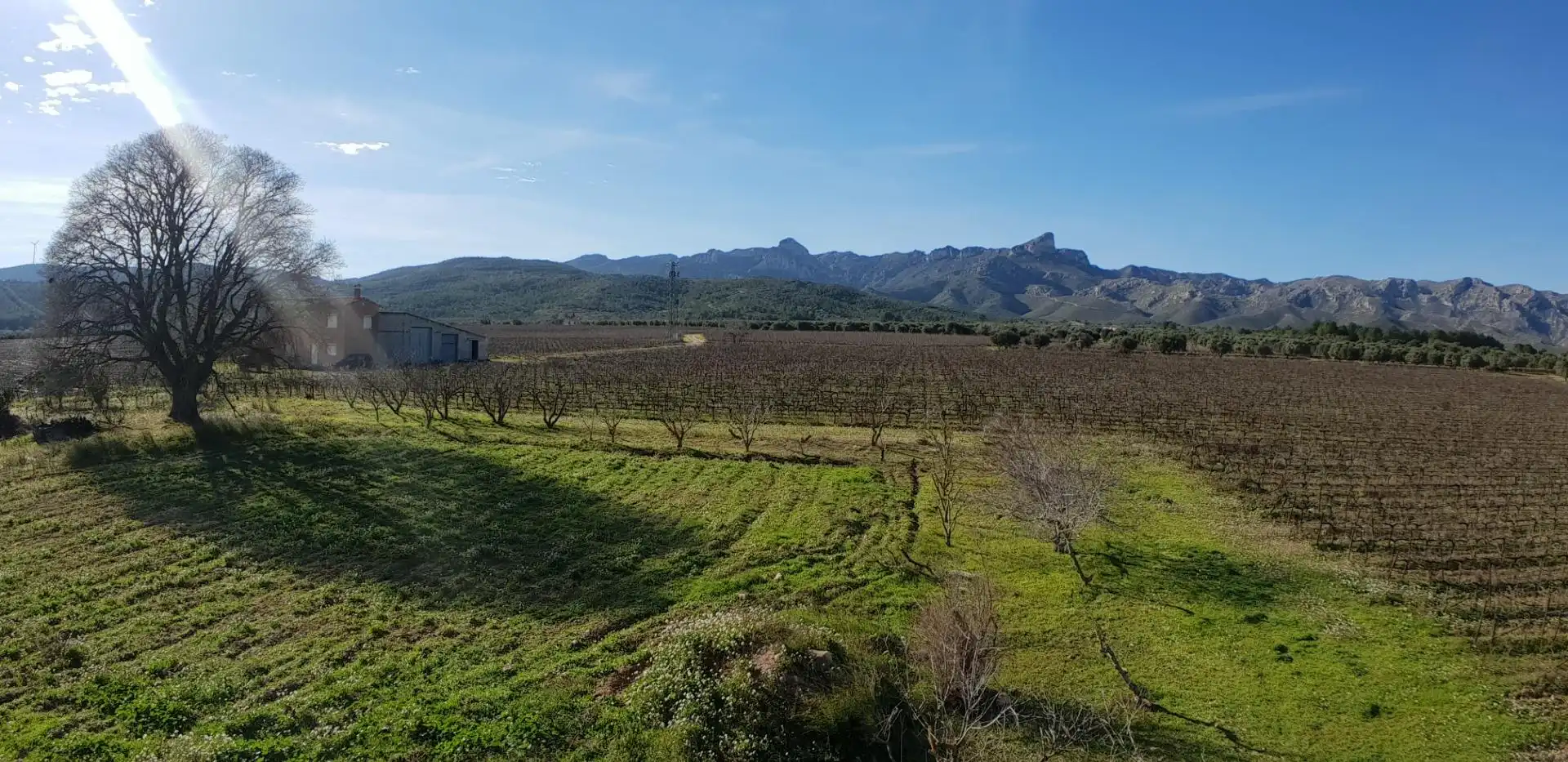 Finca rústica en venta en El Perelló con Jardín privado, Terraza y Trastero