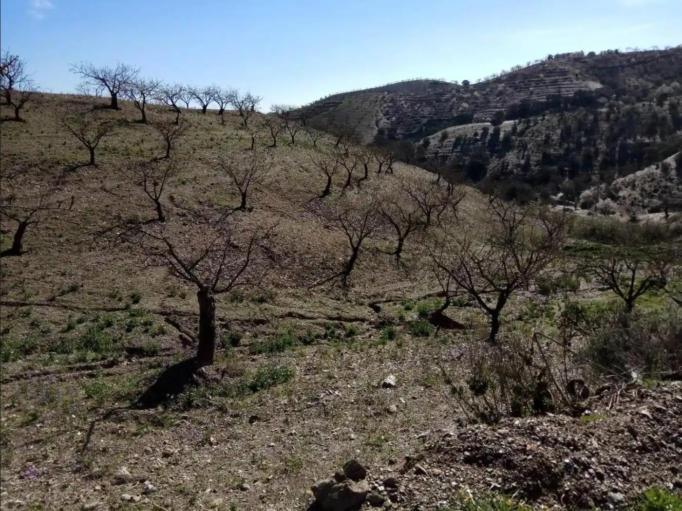 Terreny rústic en venda a Puerto Lumbreras, imagen 13