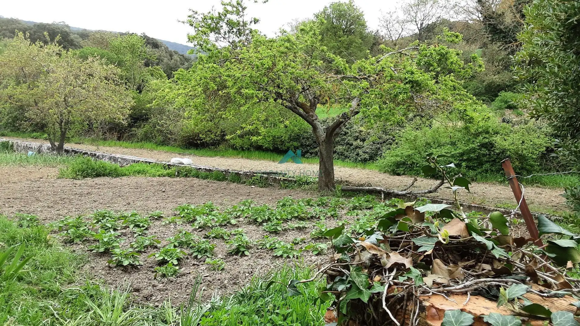 Terreno residencial en venta en La Puebla de Arganzón, imagen 6